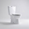 Dual flush elongated toilet with soft close seat and ceramic construction 70 x 40 x 80cm